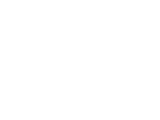 Leadpoint System